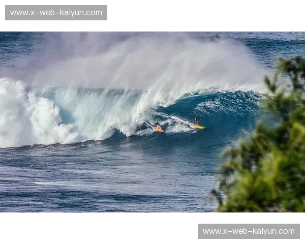 冲浪直播：把海浪变成你的人气舞台